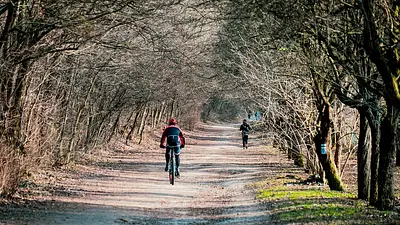 Rodzaje zajęć sportowych w Polsce – wybierz najlepsze dla si