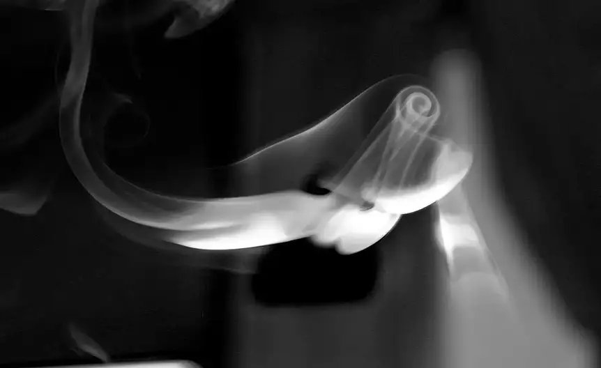 Ilustracja układu oddechowego i krążenia krwi