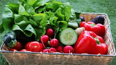 Dieta Zelmanowej – 7-dniowy jadłospis i zasady zdrowego odży