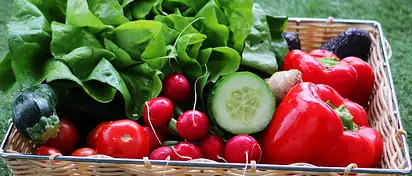 Dieta zelmanowej jadłospis na 7 dni dla zdrowia