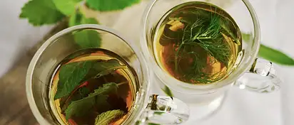 Zioła na odchudzanie: Naturalne wsparcie w diecie