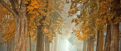 Ciekawe nazwy zajęć fitness, które zwiększą Twoją motywację