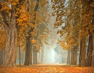 Ciekawe nazwy zajęć fitness, które zwiększą Twoją motywację