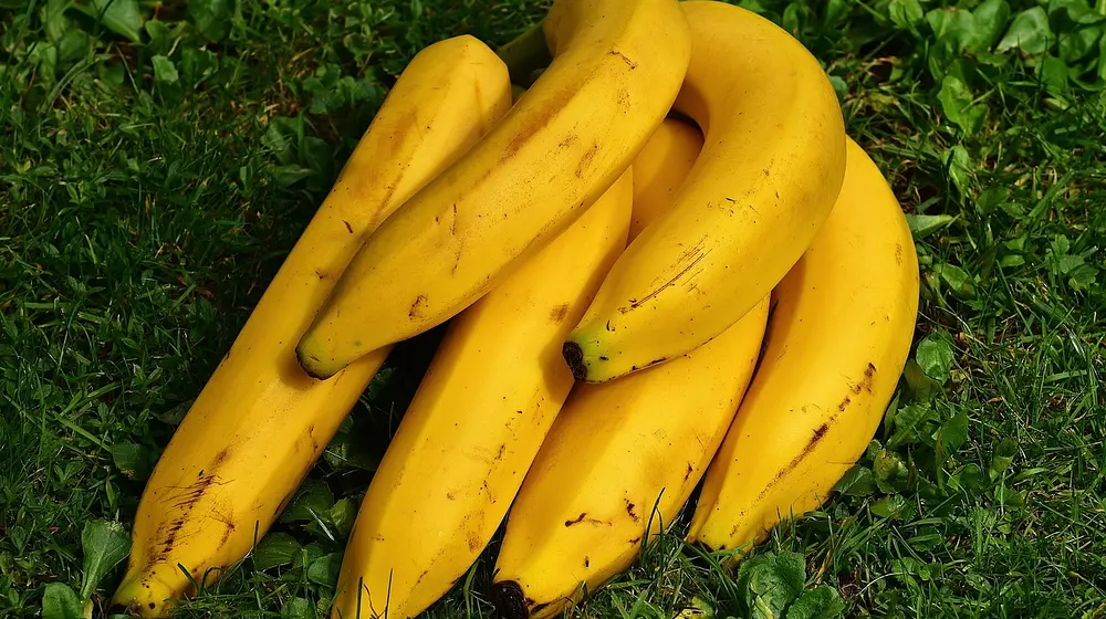 Ile kalorii ma banan — wpływ dojrzałości na wartość odżywczą